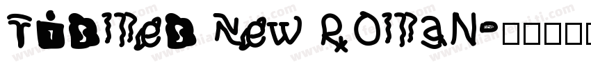 Tismes New Roman字体转换